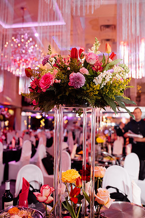 gala4acure-0033