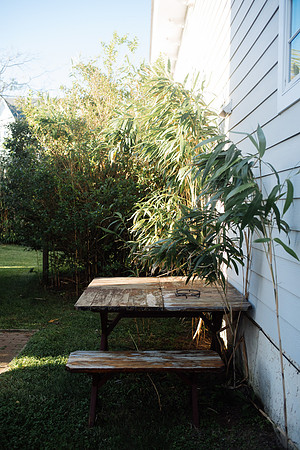 CAPEMAY-0233