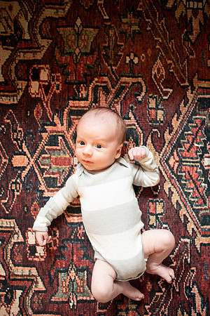 hugo-0276