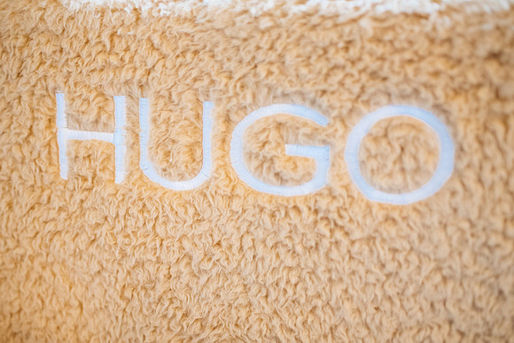 hugo-0300