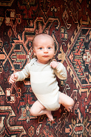 hugo-0278