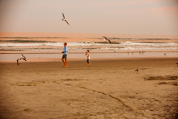 Family-0286